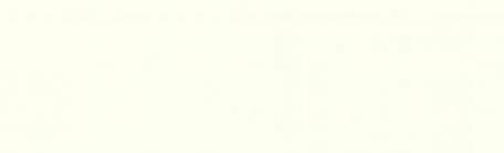Light_Yellow_Vertical_2578.jpg