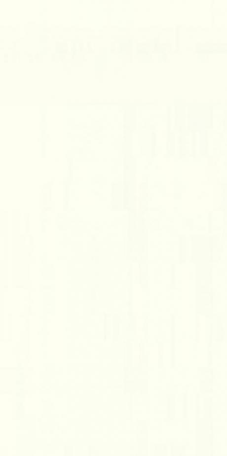Light_Yellow_Vertical_2660.jpg