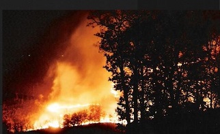 Wildfire_Small.jpg